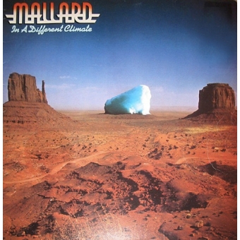 Mallard – In A Different Climate (Hoes G en vinyl G) Virgin Records 28 507 XOT